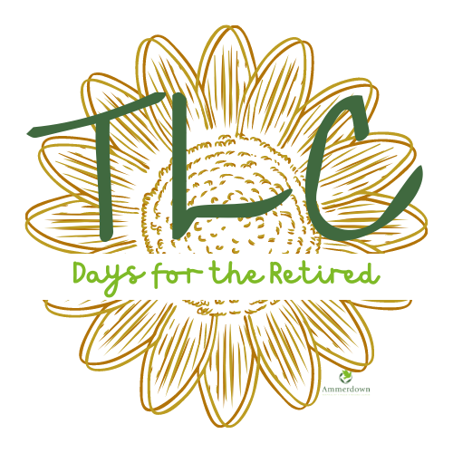 TLC Day for the Retired