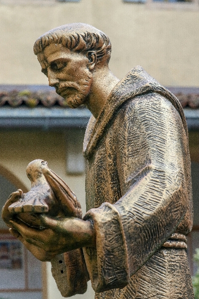 Francis: A Radical Life of Love