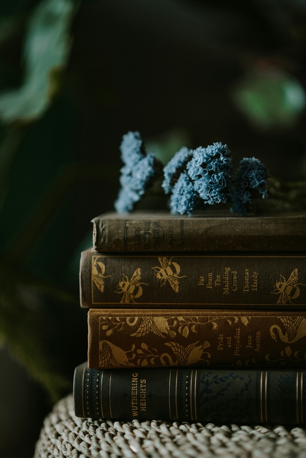 Illness, Injury and Remedies in Jane Austen's Novels
