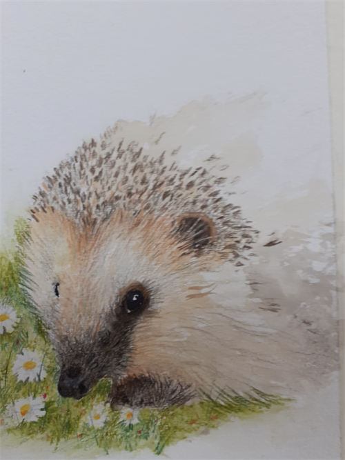 Watercolour Based Mixed Medium