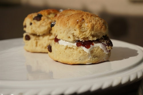 Ammerdown Cream Teas