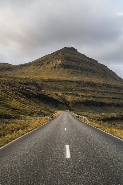 Faithful Nonviolence: Journeys to Peace