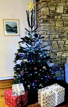Christmas Family Fun Day