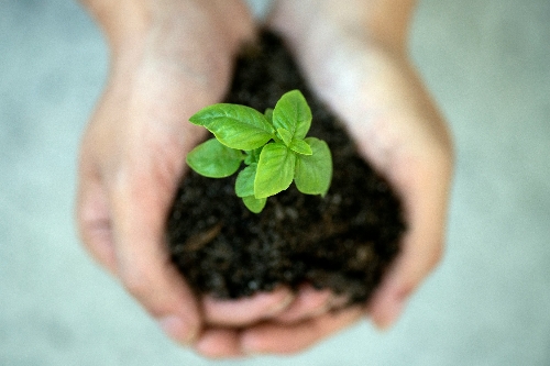 Nurturing Strong Communities Nurturing Strong Communities