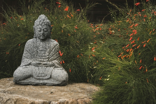 Buddhism and Peace Buddhism and Peace