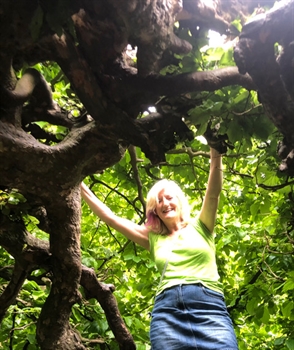Loving Life with the Enneagram Foundation Workshop Loving Life with the Enneagram Foundation Workshop