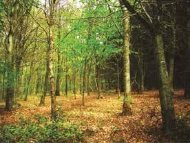 Myths, Music & Magic in Autumn