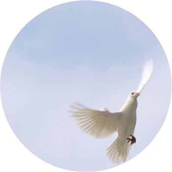 Grief and Loss Grief and Loss