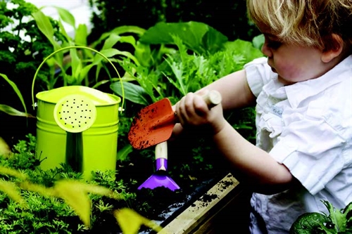 Little Green Fingers Little Green Fingers