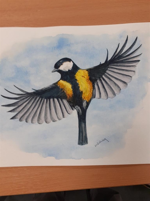 Watercolour Painting Watercolour Painting