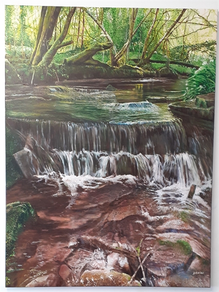 Painting with Barry - Barry Wills