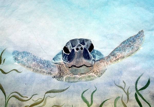 Chinese Brush Painting – Aquatic life - Julia Martin